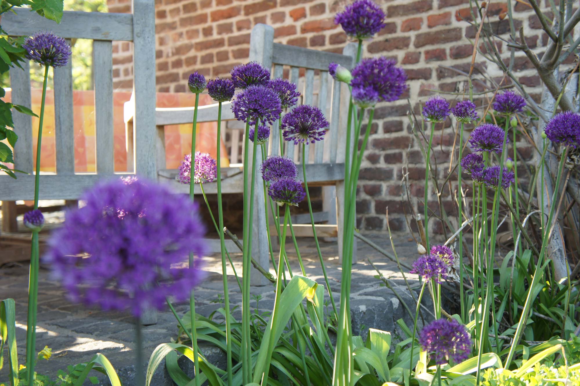 Gartenbau Viersen: Pflanzarbeiten