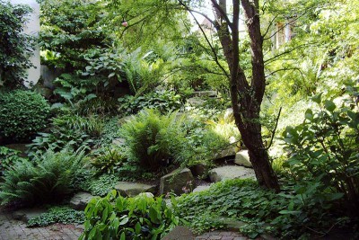 Grüner Garten in Viersen