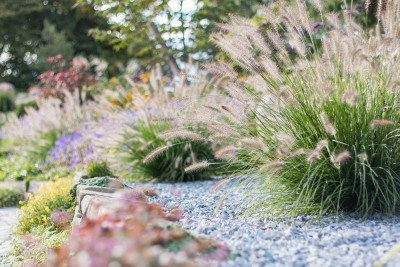 Garten- und Landschaftsbau Planung aus Viersen